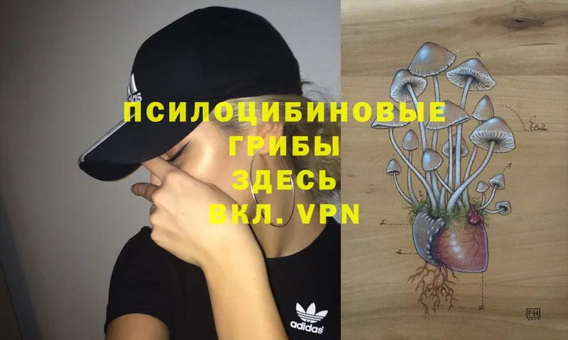 Псилоцибиновые грибы MAGIC MUSHROOMS  Минусинск 